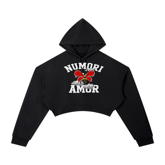 Numori Cropped Hoodie Red